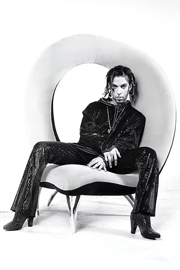 Prince the musician
