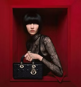 Dior Bag
