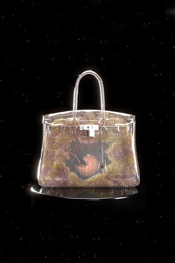 Birkin Bag