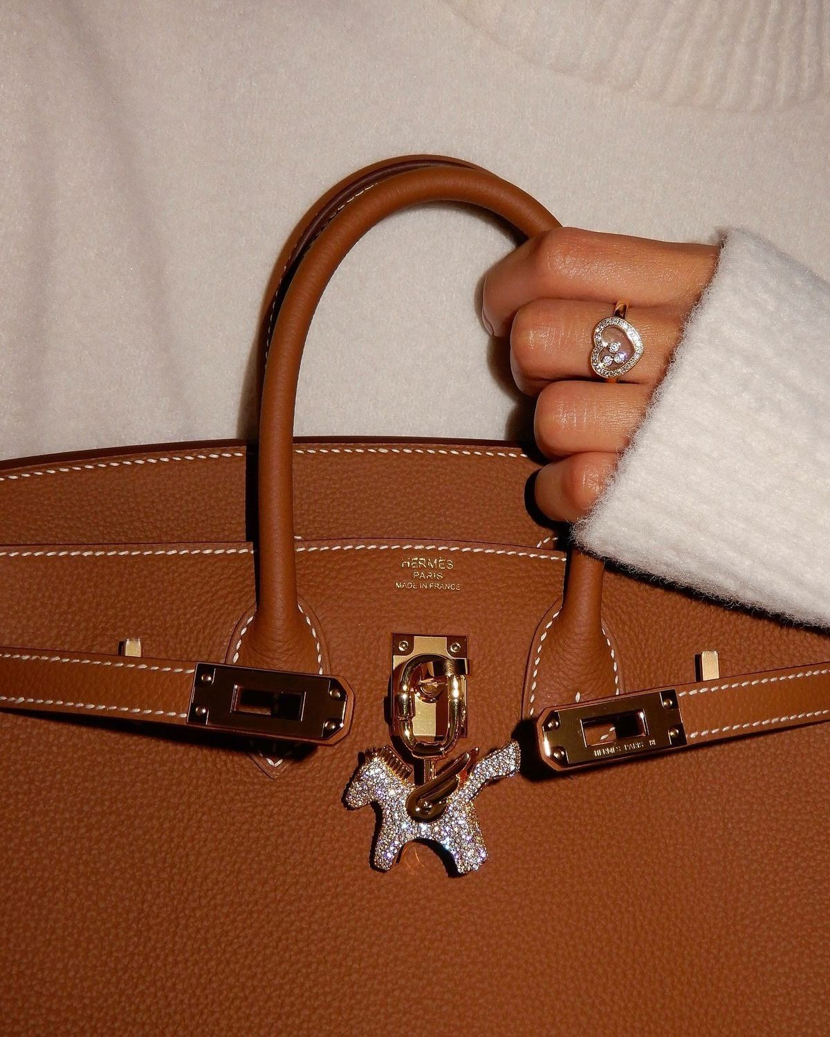 Birkin Bag Aesthetic